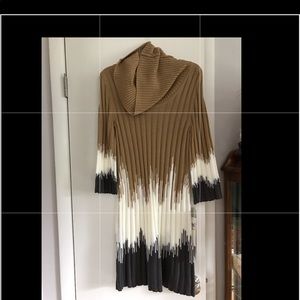 Sweater Dress - NWT